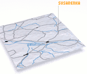 3d view of Susarenka