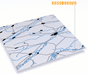 3d view of Kosobokovo