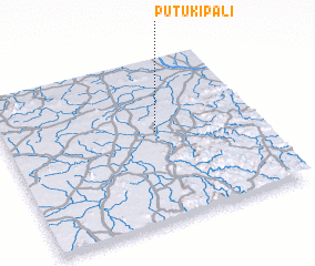 3d view of Putukipali