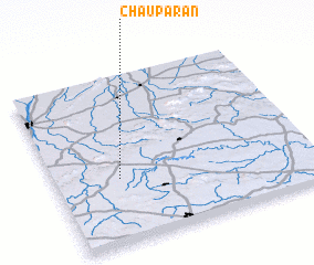 3d view of Chaupāran