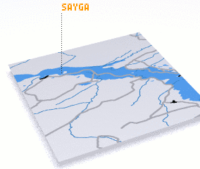 3d view of Sayga