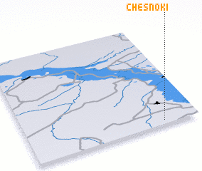 3d view of Chesnoki