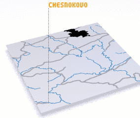 3d view of Chesnokovo