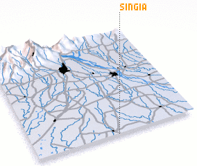 3d view of Singia