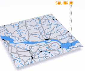3d view of Sālimpur