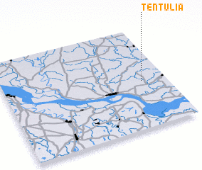 3d view of Tentulia