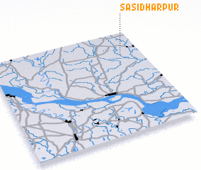 3d view of Sasidharpur