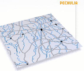 3d view of Pechulia