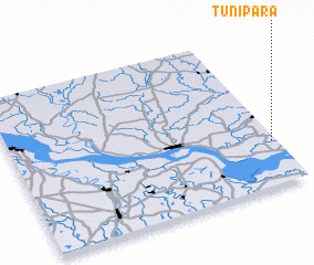 3d view of Tunipāra