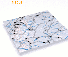 3d view of Riedle