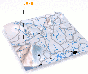 3d view of Dora