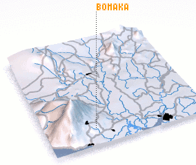 3d view of Bomaka