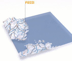 3d view of Fossi