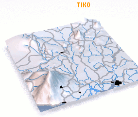 3d view of Tiko