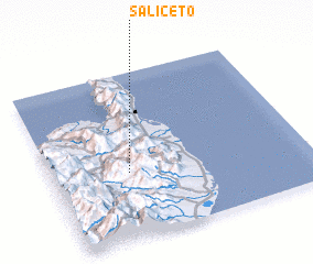 3d view of Saliceto