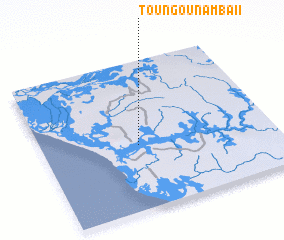3d view of Toungounamba II