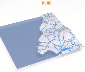 3d view of Pume