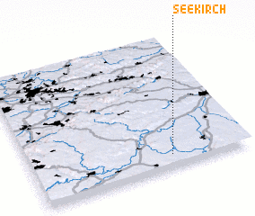 3d view of Seekirch