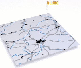 3d view of Blume