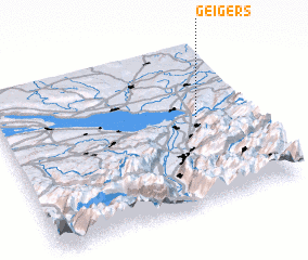 3d view of Geigers