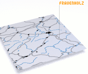 3d view of Frauenholz