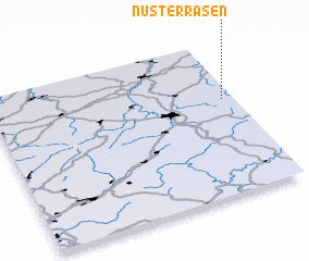 3d view of Nüsterrasen