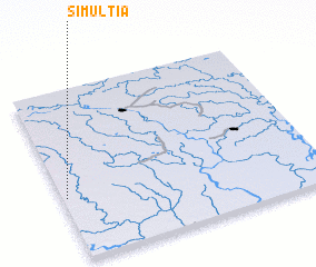 3d view of Simultia