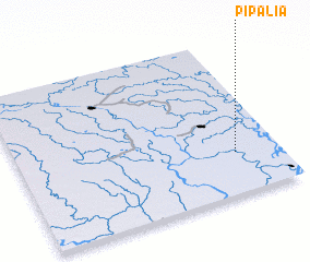 3d view of Pipalia