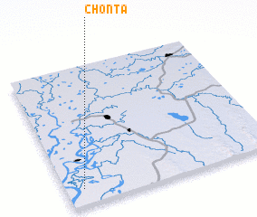 3d view of Chonta