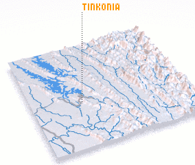 3d view of Tinkonia