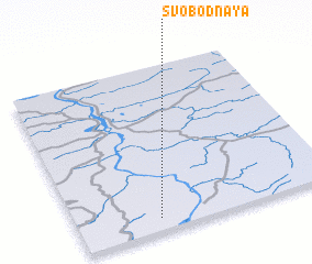 3d view of Svobodnaya