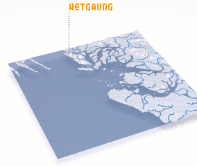 3d view of Wetgaung