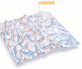 3d view of Surngen