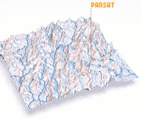 3d view of Pansat