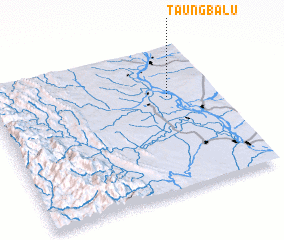3d view of Taungbalu
