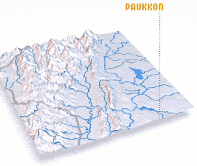 3d view of Paukkon