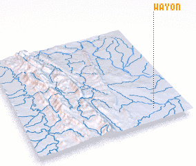 3d view of Wayôn