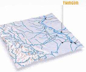 3d view of Twingon