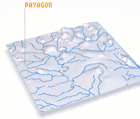 3d view of Payagon