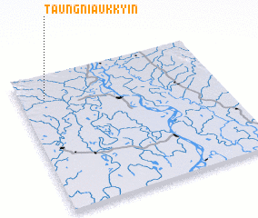 3d view of Taungni Aukkyin