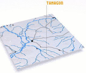 3d view of Tamagon