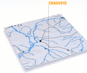 3d view of Shaukpin