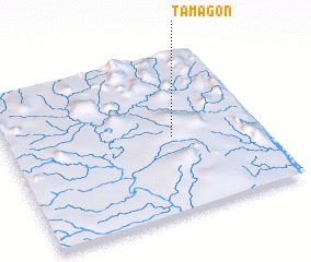 3d view of Tamagon