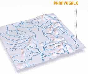 3d view of Pannyogale