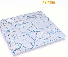 3d view of Pyintha
