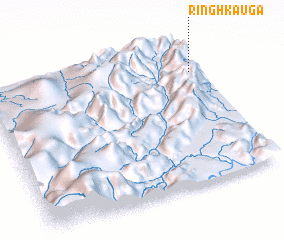 3d view of Ringhkau Ga