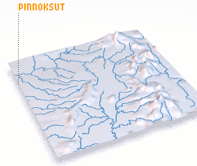 3d view of Pinnoksut