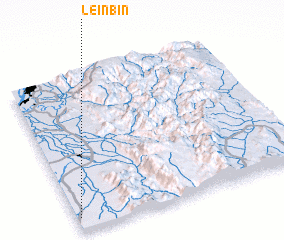 3d view of Leinbin