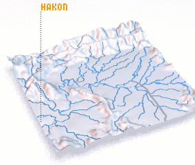 3d view of Hakon