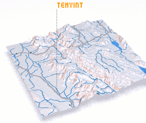 3d view of Temyint